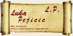 Luka Pejičić vizit kartica